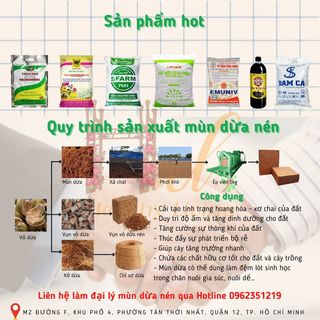 Xơ dừa nén 5kg mùn dừa nén 5kg đã xử lý chát tỷ lệ mùn 90%