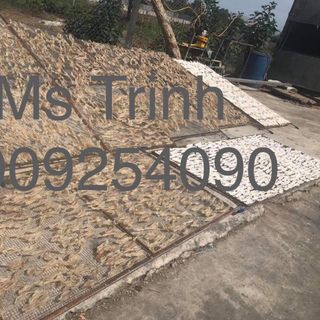 Bong bóng cá chẽm