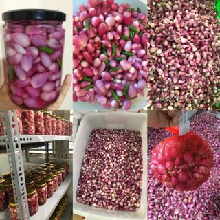 Nhận đơn sỉ lẻ hàng tết củ kiệu, hành, củ cải ngâm