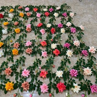 Hoa Hồng dây giả