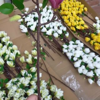 gia dụng mẫu mới