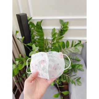Khẩu Trang em bé Mầm Chồi Lá Thịnh Phát