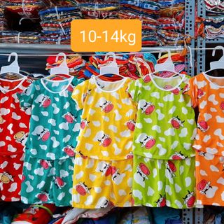 50 bộ thun trẻ em 8-25kg