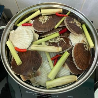SÒ AOMORI NGUYÊN CON ( 20-24con/kg)