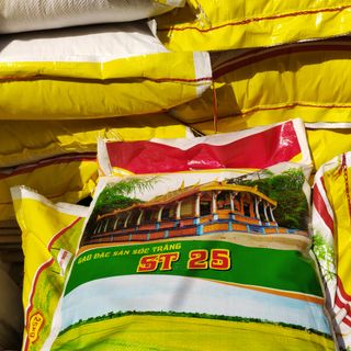 Gạo ST 25 - gạo st25 nhập từ Sóc Trăng