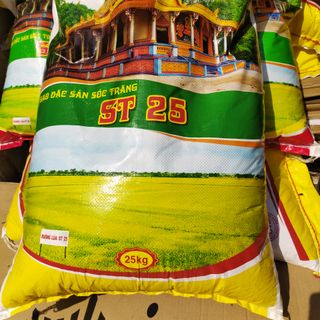 Gạo ST 25 - gạo st25 nhập từ Sóc Trăng
