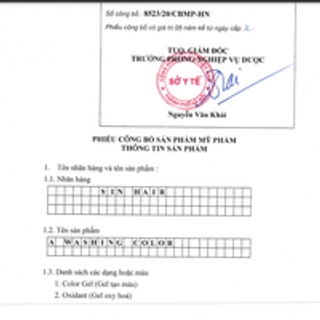 Dầu Gội Phủ Bạc SIN HAIR Nâu