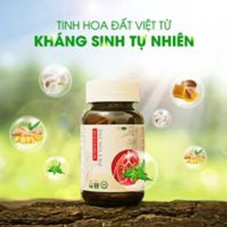 [3T Pharma] Phytocine Tinh Chiết Từ Xuyên Tâm Liên - 60 viên/ hộp