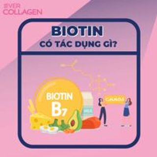 Viên uống phức hợp collagen đẹp da chống lão hóa Ever Collagen In&Up Plus (750mg x 84 viên)