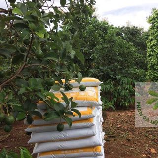 Phân Gà Nhật Bản Dạng Bột 15Kg