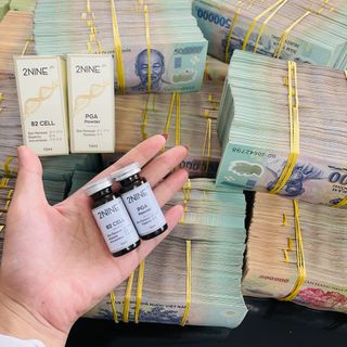 2NINE TẾ BÀO GỐC PGA POWDER