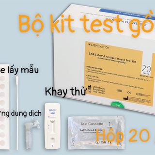 Que test nhanh tại nhà LABNOVATION ( ĐỨC )