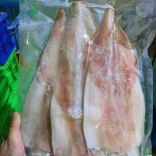 Mực một nắng Trọng Hiếu size 3 con
