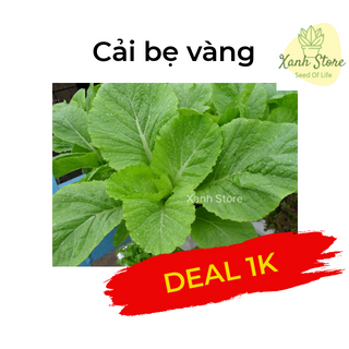 Hạt giống rau, củ, quả, hoa các loại giá sỉ chỉ từ 3k/gói