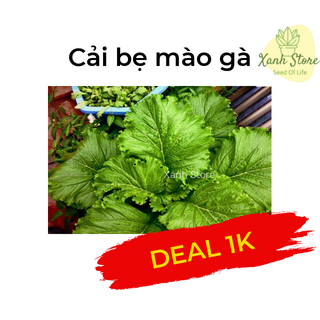 Hạt giống rau, củ, quả, hoa các loại giá sỉ chỉ từ 3k/gói