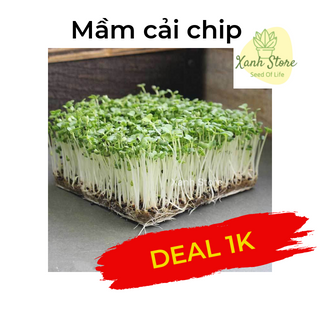 Hạt giống rau, củ, quả, hoa các loại giá sỉ chỉ từ 3k/gói