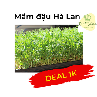Hạt giống rau, củ, quả, hoa các loại giá sỉ chỉ từ 3k/gói