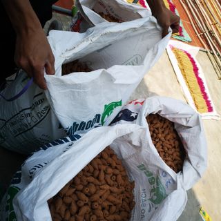 Nụ trầm hương sỉ rẻ