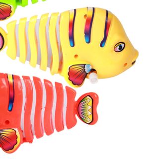 Cá dây cót biết chạy