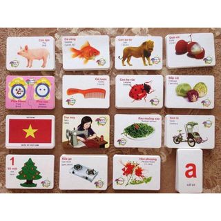 Thẻ học thông minh cho bé loại 16 chủ đề song ngữ Anh - Việt giá xưởng