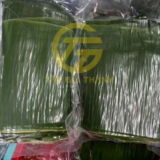 Lá chuối đông lạnh xuất khẩu tại TP HCM/Giá sỉ rẻ nhất thị trường