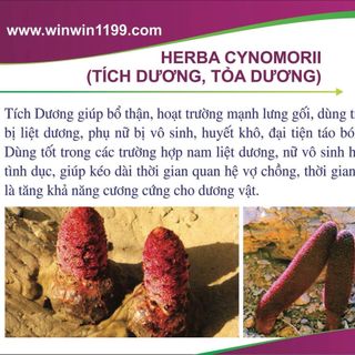 Multi Juice ( gồm 7 thành phần tế bào gốc: Đông trùng hạ thảo, sâm maca, sâm ấn độ, tích dương, dextrol đường đơn, cọ lùn, bột chanh)