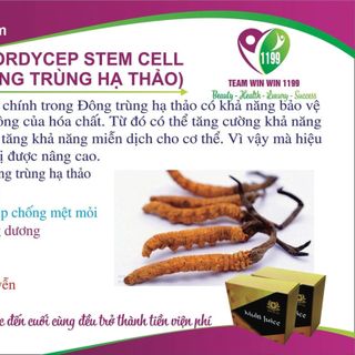 Multi Juice ( gồm 7 thành phần tế bào gốc: Đông trùng hạ thảo, sâm maca, sâm ấn độ, tích dương, dextrol đường đơn, cọ lùn, bột chanh)