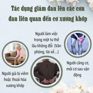 Tìm đại lý phân phối kem xoa bóp Reelif giảm nhức mỏi và phòng ngừa viêm khớp. Chiết khấu cao.