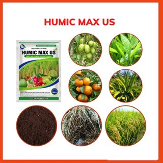 Combo 30 gói Phân bón Humic siêu ra rễ 200g ổn định độ PH, tơi xốp đất, ra rễ mạnh, xanh cây, dày lá, mập cành, bung chồi, mập đọt, ra hoa đồng loạt, đậu trái non, cứng cây, chắc hạt. giá sỉ