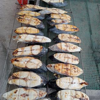 Cá thu khúc nướng - Đặc sản cá thu câu, cá thu lưới Nghệ An