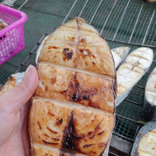 Cá thu khúc nướng - Đặc sản cá thu câu, cá thu lưới Nghệ An