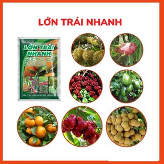 Combo 1 thùng 20 gói Phân bón Lớn trái nhanh nuôi trái non lớn nhanh, hạn chế thối trái, nứt trái, sáng bóng, đặc ruột, chắc hạt, nặng ký, thơm ngon, đậm vị. giá sỉ