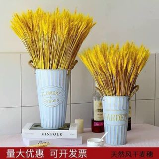 Hoa Lúa Mạch 1 bó 100 cành