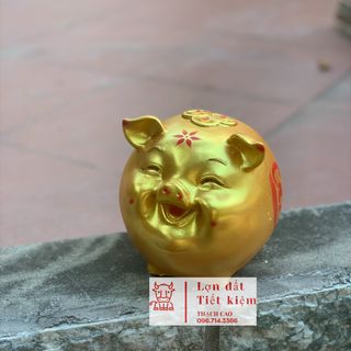 Heo Hàn quốc vàng đồng