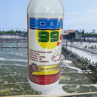 BOGA 99- Tái tạo tế bào gan, bổ gan, giải độc gan, hiệu quả trong việc giải độc kháng sinh