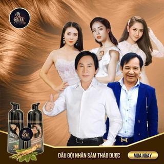 Gội phủ bạc sin