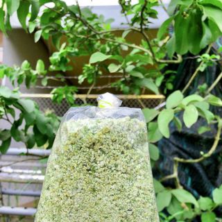 Muối Ớt Xanh Tây Ninh (Bọc 500gr)
