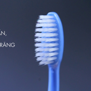 Bàn chải Bizs+ Salt - Lông chỉ tơ nha khoa siêu mềm, cán trong chống mốc tuyệt đối