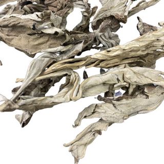 Ngải cứu ngâm chân, tắm gội, xông hơi, đốt xông nhà thanh lọc không khí, đuổi muỗi đuổi côn trùng