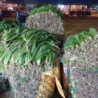 Rau Củ Quả Các Loại