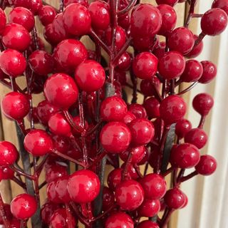 Đào Đông 6 nhánh Dài 70-75cm