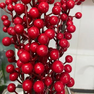 Đào Đông 6 nhánh Dài 70-75cm