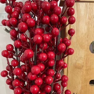 Đào Đông 6 nhánh Dài 70-75cm