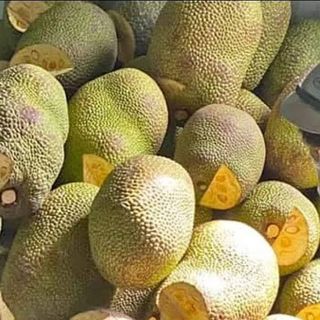 Mít thái lục sũy thành
