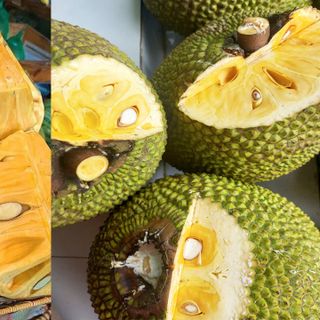 Mít thái lục sũy thành