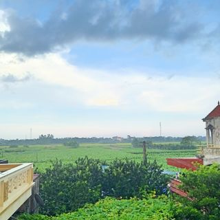 Tinh bột nghệ nguyên chất. Điều trị viêm loét dạ dày và làm đẹp hiệu quả.