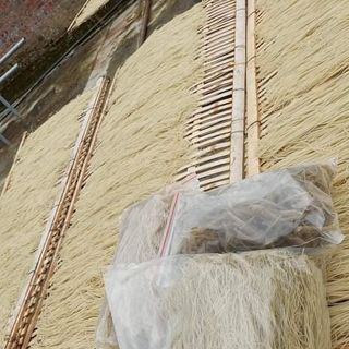 Miến Sâm Hưng Hiền