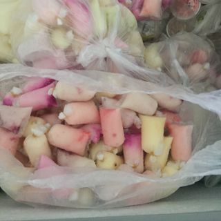 Sữa chưa trái cây