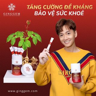 Sâm Ngọc Linh Nhung Hươu