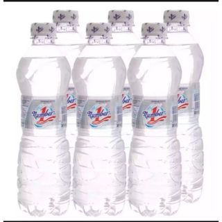 Nước suối đóng chai 500ml Number One